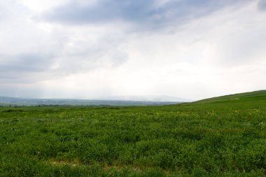 Güzel ilkbahar ve yaz manzarası. Yemyeşil tepeler, yüksek dağlar. Parlak yeşil çimenler. Bahar çiçekli çimenler. Yaz doğal arka plan.