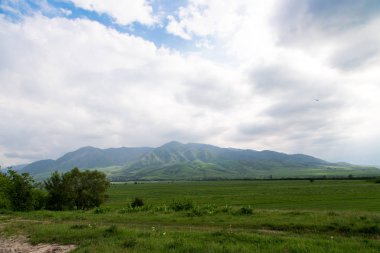 Güzel ilkbahar ve yaz manzarası. Yemyeşil tepeler, yüksek dağlar. Parlak yeşil çimenler. Bahar çiçekli çimenler. Yaz doğal arka plan.