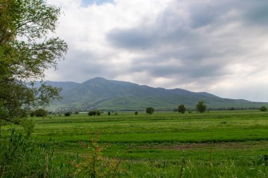 Güzel ilkbahar ve yaz manzarası. Yemyeşil tepeler, yüksek dağlar. Parlak yeşil çimenler. Bahar çiçekli çimenler. Yaz doğal arka plan.
