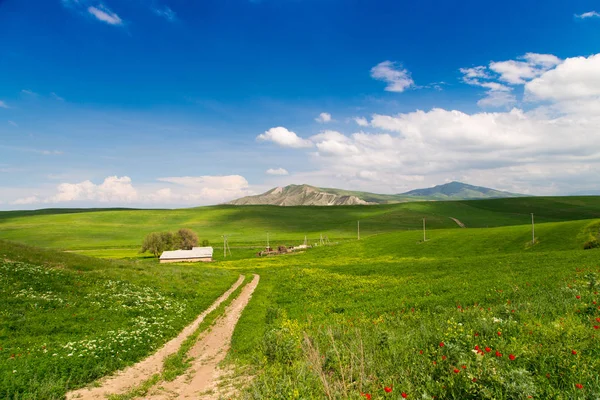 Bellissimo paesaggio primaverile ed estivo. Strada di campagna di montagna tra verdi colline. Colline verdeggianti, alte montagne. Luminosa erba verde. Erba fiorita primaverile. Estate sfondo naturale . — Foto Stock