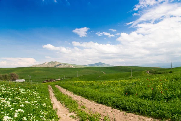 Beautiful spring and summer landscape. Mountain country road among green hills. Lush green hills, high mountains. Bright green grass. Spring flowering grass. Summer natural background. — Zdjęcie stockowe