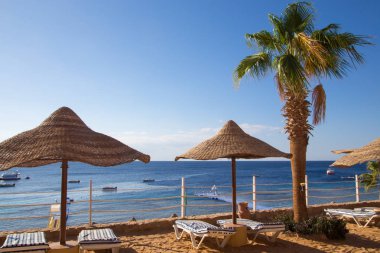 Şarm El Şeyh, Mısır - 18 Mart 2019: Kızıldeniz Sahili, Concord Hotel. Şemsiye, şezlong ve palmiye ağaçları ile plaj. Arka plan turizmi ve seyahat. Dinlenme ve tatil.
