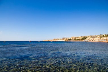 Şarm El Şeyh, Mısır - 18 Mart 2019: Kızıldeniz Sahili, Concord Hotel. Şemsiye, şezlong ve palmiye ağaçları ile plaj. Arka plan turizmi ve seyahat. Dinlenme ve tatil.