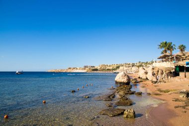 Şarm El Şeyh, Mısır - 18 Mart 2019: Kızıldeniz Sahili, Concord Hotel. Şemsiye, şezlong ve palmiye ağaçları ile plaj. Arka plan turizmi ve seyahat. Dinlenme ve tatil.