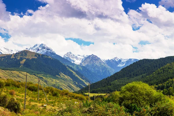 Bergsommerlandschaft. hohe Bäume, schneebedeckte Berge und weiße Wolken am blauen Himmel. Kyrgyzstan schöne Landschaft. — Stockfoto