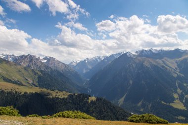 Dağ yaz manzarası. Karlı dağlar ve yeşil çimenler. Zirve Karakolu Kırgızistan.