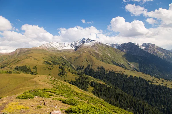 Bergsommerlandschaft. Schneebedeckte Berge und grünes Gras. Gipfel Karakol Kyrgyzstan. — Stockfoto