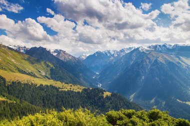 Dağ yaz manzarası. Karlı dağlar ve yeşil çimenler. Zirve Karakolu Kırgızistan.