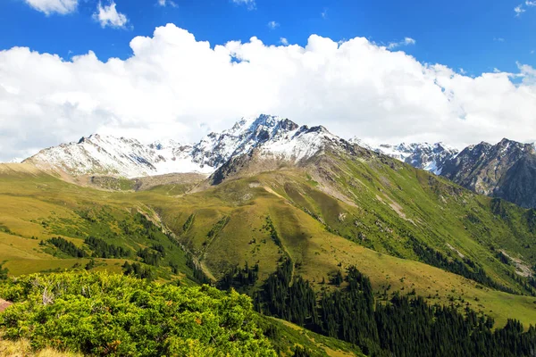 Bergsommerlandschaft. Schneebedeckte Berge und grünes Gras. Gipfel Karakol Kyrgyzstan. — Stockfoto