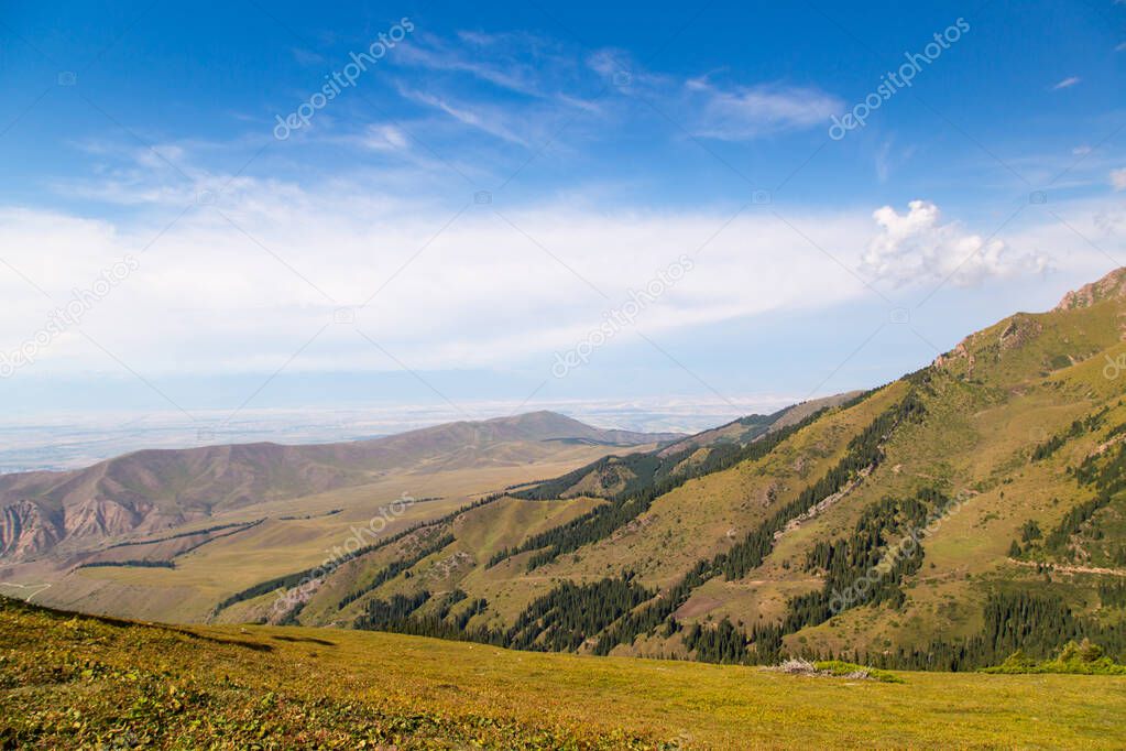 Mountain summer landscape. Snowy mountains and green grass. Peak Karakol Kyrgyzstan.