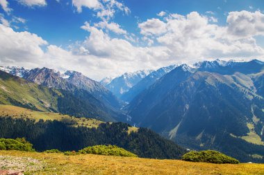 Dağ yaz manzarası. Karlı dağlar ve yeşil çimenler. Zirve Karakolu Kırgızistan.