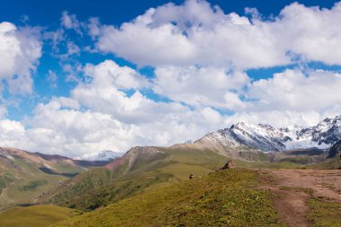 Dağ yaz manzarası. Karlı dağlar ve yeşil çimenler. Zirve Karakolu Kırgızistan.