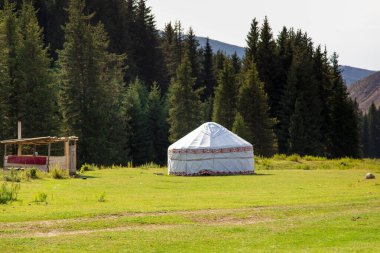 Dağlarda yaz manzarası. Bir Noel ağacının uzun ağaçları, ulusal konut bir yurttur. Kırgızistan Turizm ve Seyahat.