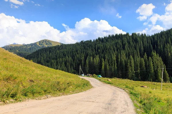 Landstraße hoch in den Bergen. hohe Bäume, schneebedeckte Berge und weiße Wolken am blauen Himmel. Kyrgyzstan schöne Landschaft. — Stockfoto