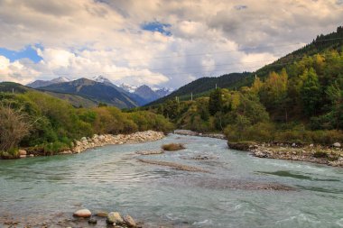 Dağların tepesinde fırtınalı bir nehir. Parlak yaz manzarası. Uzun ladin ve yeşil çimen. Kırgızistan Güzel manzara.