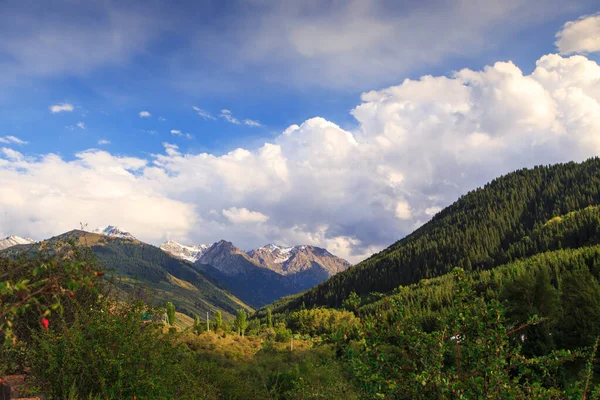 美しい山の風景。鬱蒼とした森と渓谷。夏の風景。キルギス — ストック写真