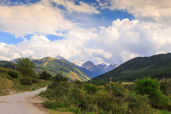 Landstraße hoch in den Bergen. hohe Bäume, schneebedeckte Berge und weiße Wolken am blauen Himmel. Kyrgyzstan schöne Landschaft. — Stockfoto