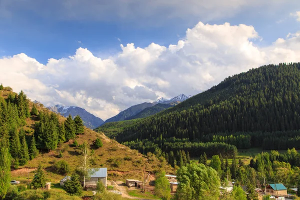 Wunderschöne Berglandschaft. Schlucht mit dichtem Wald. Sommerlandschaft. Kirgisistan — Stockfoto