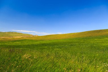 Güzel bahar ve yaz manzarası. Bereketli yeşil tepeler, yüksek karlı dağlar. Bahar çiçekli bitkiler.