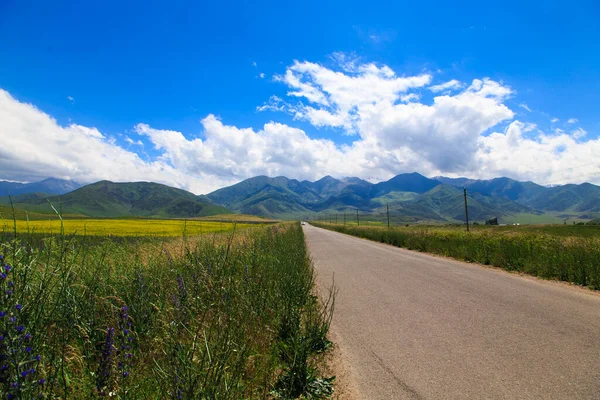 Lindas Paisagens Primavera Verão Estrada Montanha Entre Colinas Verdes Colinas — Fotografia de Stock