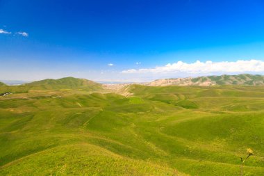 Güzel bahar ve yaz manzarası. Bereketli yeşil tepeler, yüksek karlı dağlar. Bahar çiçekli bitkiler.