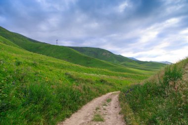 Güzel bahar ve yaz manzarası. Yeşil tepelerin arasındaki dağ yolu. Bereketli yeşil tepeler, yüksek dağlar. Bahar çiçekli çimenler.