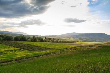 Güzel bahar ve yaz manzarası. Bereketli yeşil tepeler, yüksek karlı dağlar. Bahar çiçekli bitkiler.