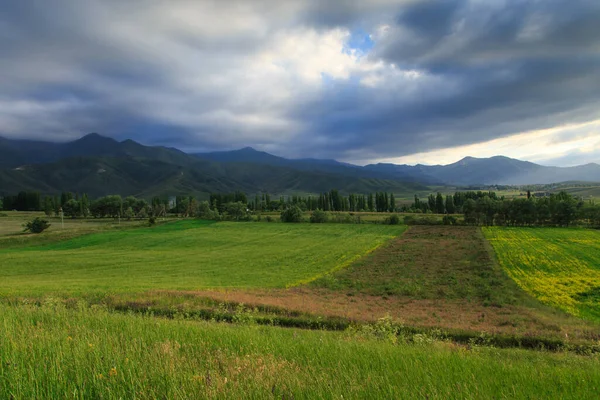 Lindas Paisagens Primavera Verão Colinas Verdes Exuberantes Altas Montanhas Nevadas — Fotografia de Stock