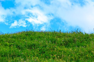 Güzel bahar ve yaz manzarası. Bereketli yeşil tepeler, yüksek karlı dağlar. Bahar çiçekli bitkiler.