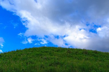 Güzel bahar ve yaz manzarası. Bereketli yeşil tepeler, yüksek karlı dağlar. Bahar çiçekli bitkiler.