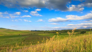 Güzel bahar ve yaz manzarası. Bereketli yeşil tepeler, yüksek karlı dağlar. Bahar çiçekli bitkiler.