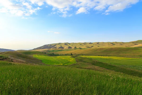 Bellissimo Paesaggio Primaverile Estivo Colline Verdeggianti Alte Montagne Innevate Primavera — Foto Stock