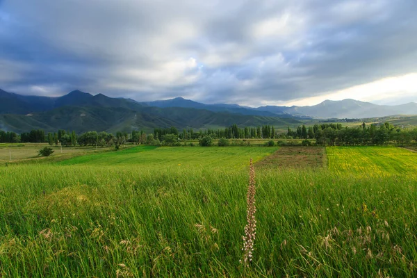 Lindas Paisagens Primavera Verão Colinas Verdes Exuberantes Altas Montanhas Nevadas — Fotografia de Stock