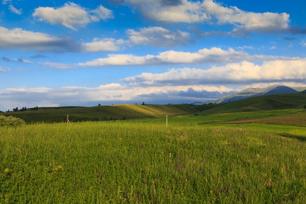 Vackert Vår Och Sommarlandskap Gröna Kullar Höga Snöiga Berg Vårblommande — Stockfoto