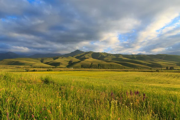 Krásná Jarní Letní Krajina Bujné Zelené Kopce Vysoké Zasněžené Hory — Stock fotografie