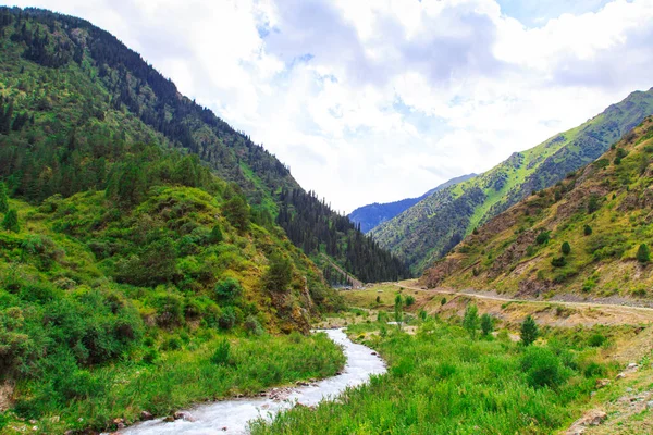 緑の山々の間で山の川 夏の風景 キルギスのケゲティ渓谷 — ストック写真