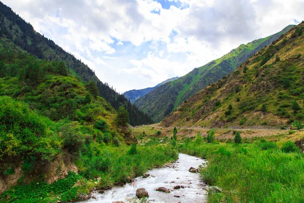 緑の山々の間で山の川 夏の風景 キルギスのケゲティ渓谷 — ストック写真