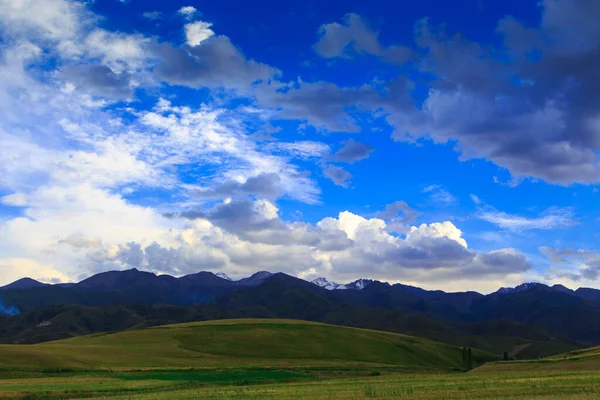 Lindas Paisagens Primavera Verão Colinas Verdes Exuberantes Altas Montanhas Nevadas — Fotografia de Stock