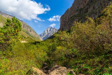 Nehir ve şelaleli bir dağ manzarası. Belogorka Boğazı, Kırgızistan