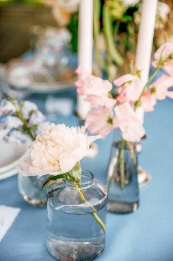 Şeftali rengi şakayık üzerinde küçük cam sürahi su ile