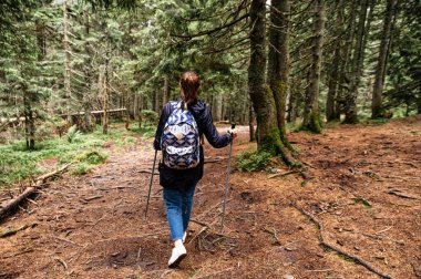 Kuzeyli yürüyüşü için sopalı bir kadın yürüyüşçü.