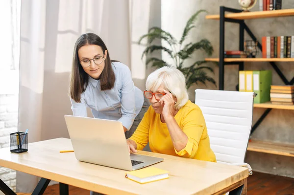 Две женщины-коллеги в офисе используют ноутбук — стоковое фото