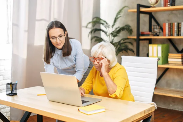 Deux collègues féminines au bureau utilisant un ordinateur portable — Photo