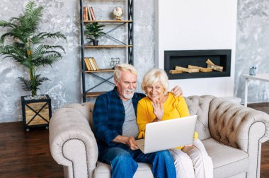 Evde dizüstü bilgisayarı olan yaşlı bir çift.