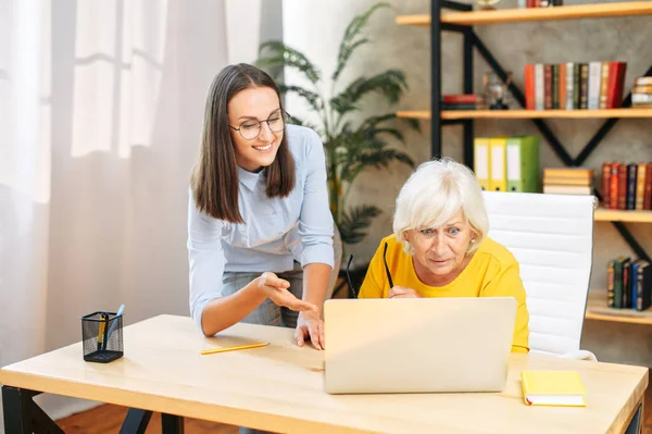 Две женщины-коллеги в офисе используют ноутбук — стоковое фото