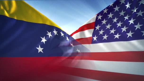 Usa Och Venezuela Land Flaggor — Stockvideo