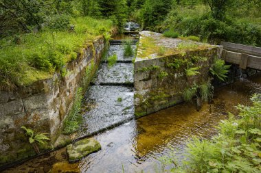 Sumava, Çek Cumhuriyeti, Doğa Parkı Schwarzenberg kanalda