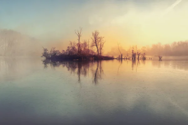 Isla Misteriosa Niebla Sobre Río Niebla Matutina Lago Pequeña Isla — Foto de Stock