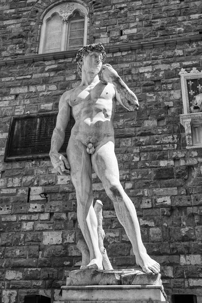 The David of Michelangelo — Stock Photo, Image
