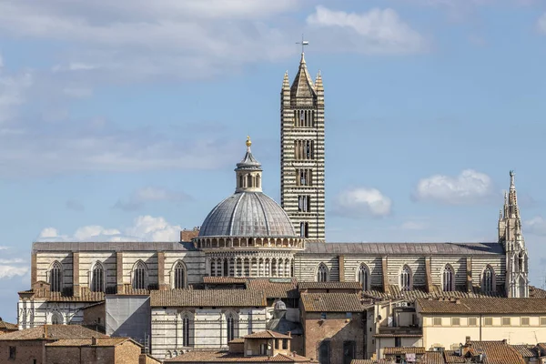 Utsikt över katedralen i Siena — Stockfoto